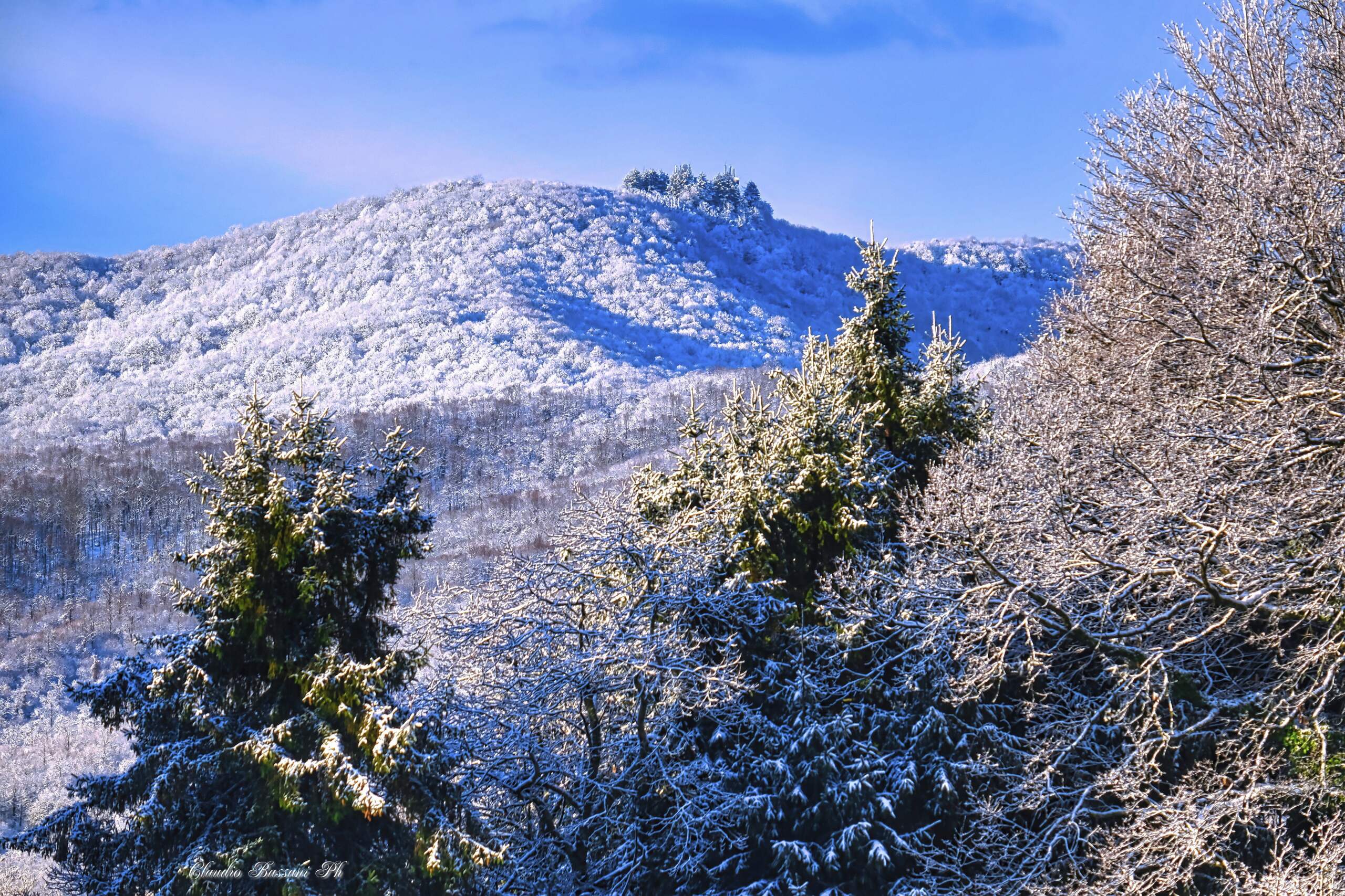 Neve
