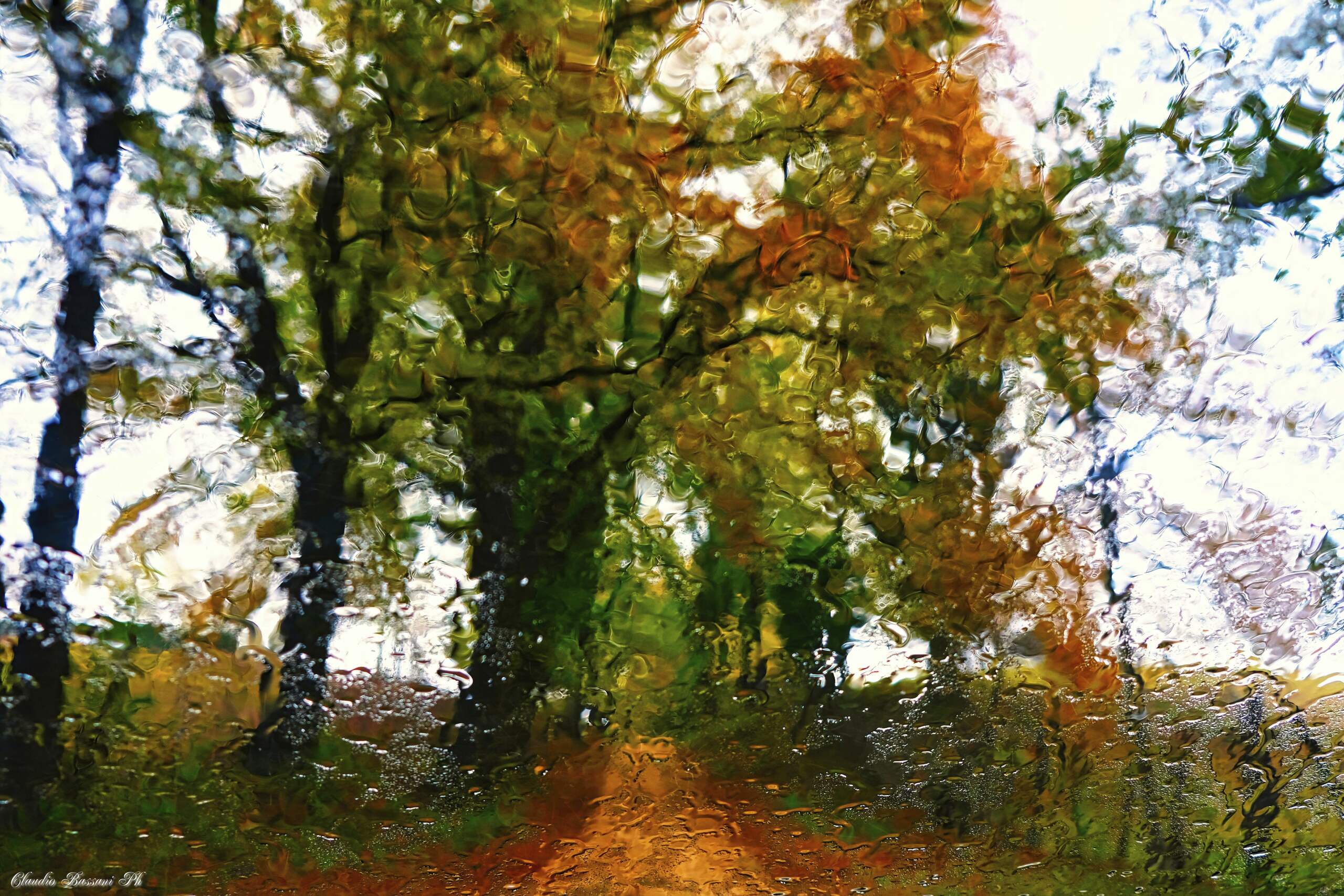 Pioggia d'autunno