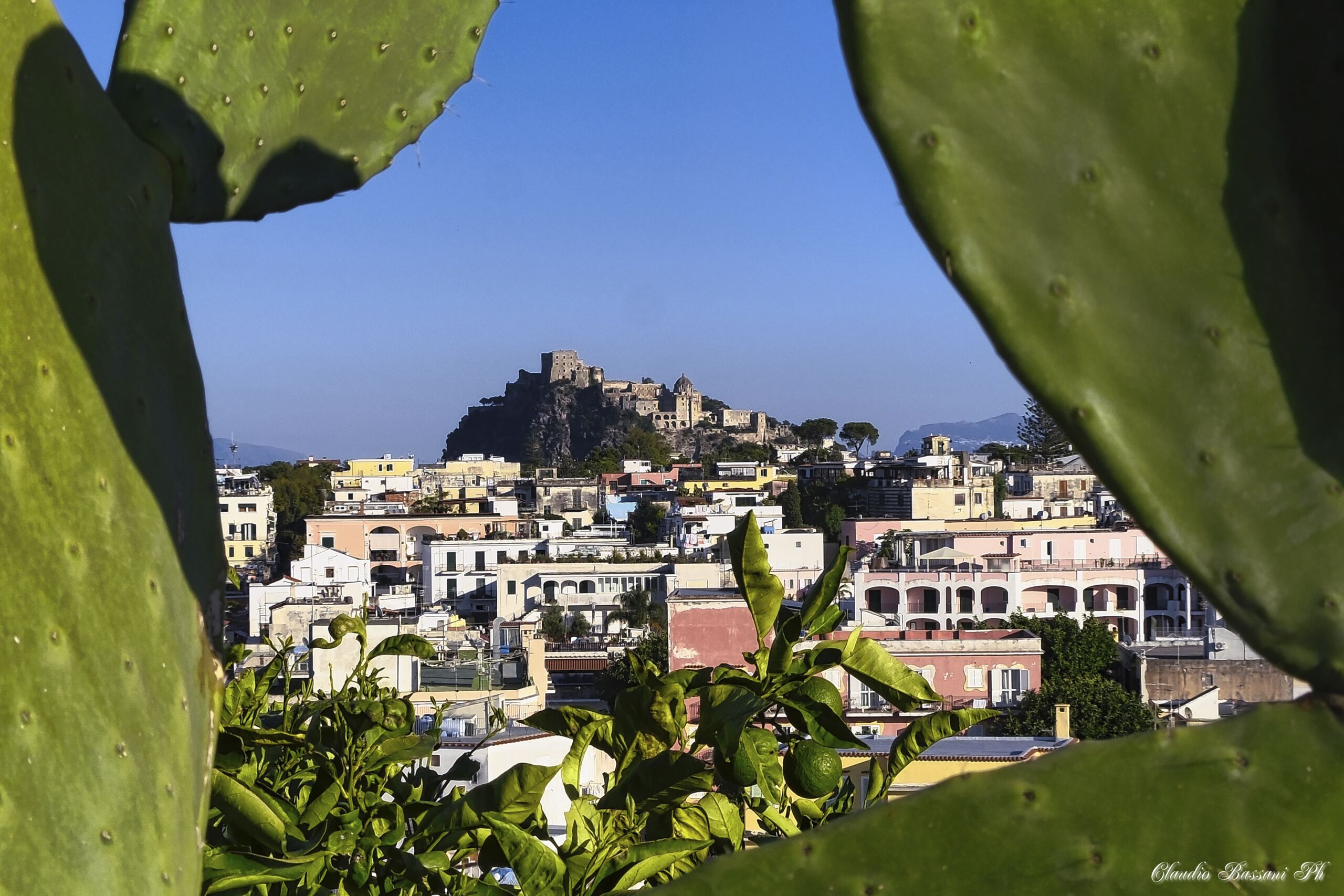 Ischia POrto