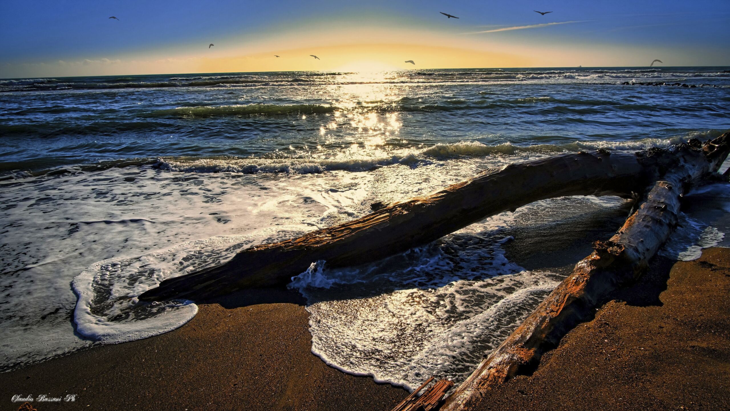 Il mare d'inverno