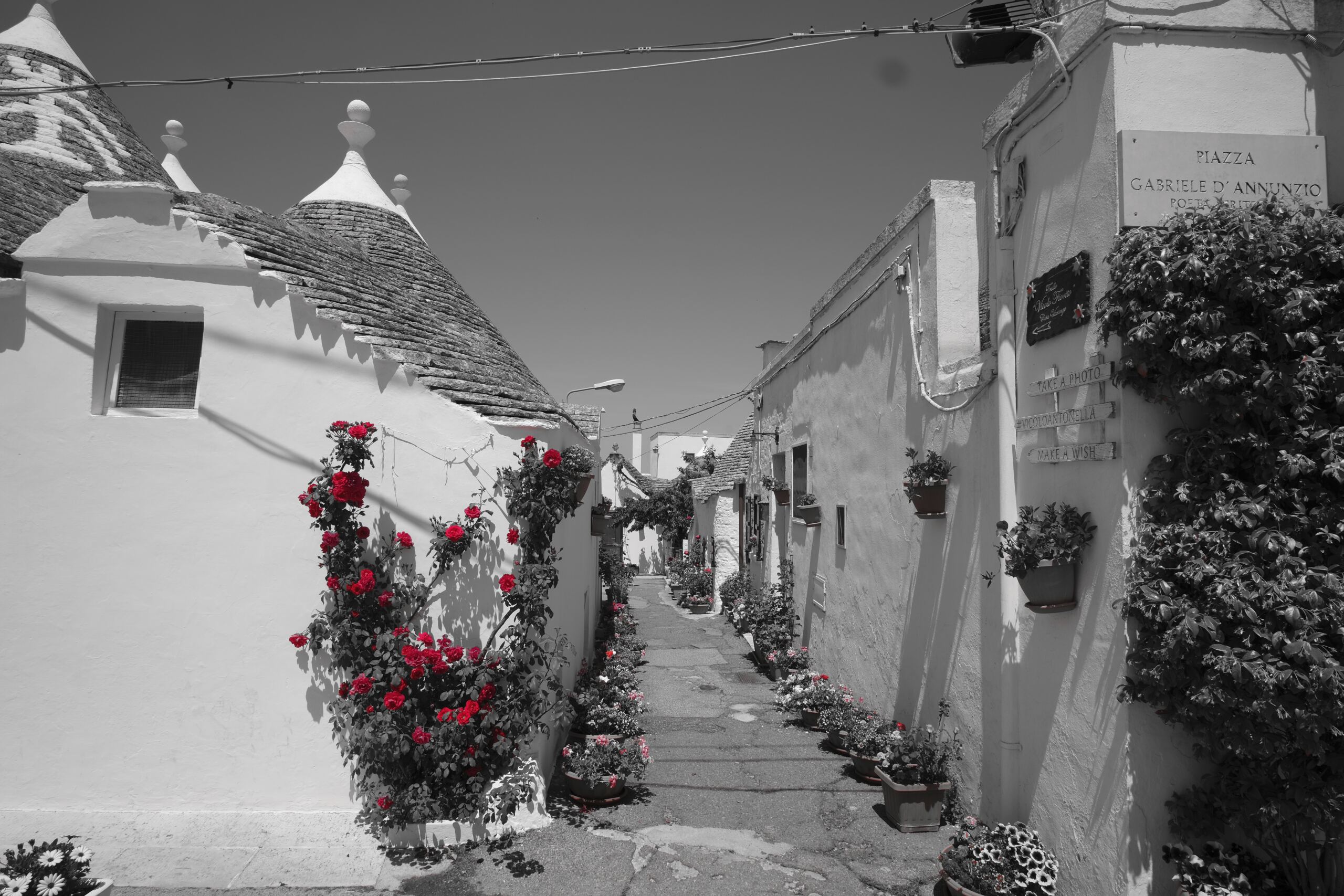 Vicoli di Alberobello