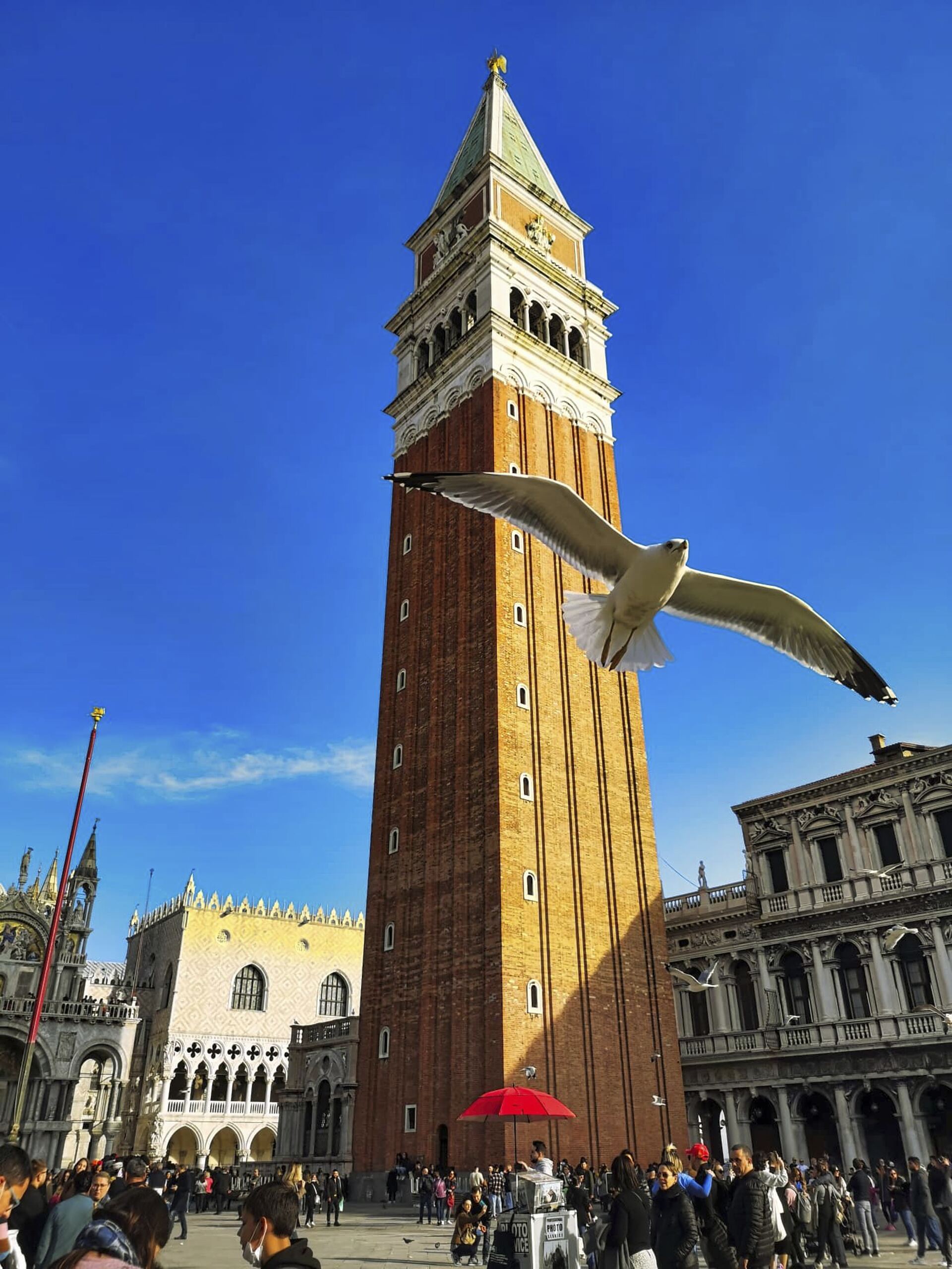 Campanile San Marco